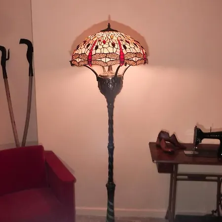 Un Mundo De Sensaciones 톨로사